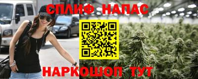 ГАЛЛЮЦИНОГЕННЫЕ ГРИБЫ Донской