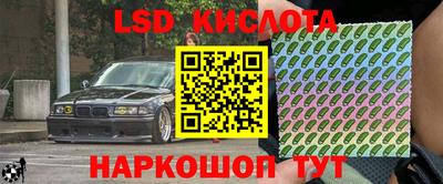 ГАЛЛЮЦИНОГЕННЫЕ ГРИБЫ Донской