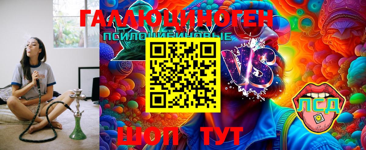 Галлюциногенные грибы Psilocybine cubensis  Вход с VPN  Мичуринск 